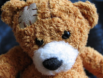 Close-up of a brown teddy bear with a stitched patch on its ear