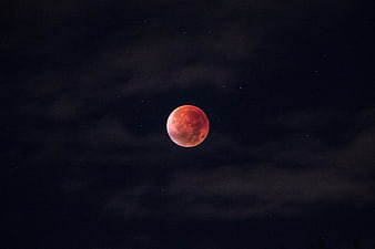 Blood Moon Eclipse in Dark Night Sky with Stars