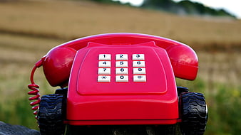 Red toy telephone with wheels in a grassy field