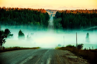 Misty gravel road winding through forest valley at sunrise