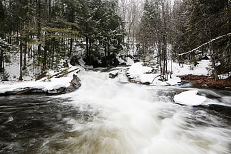 Winter River Rapids Flowing Through Snowy Forest