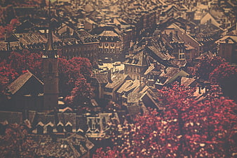 Aerial View of European Town with Red Autumn Trees and Church Spire