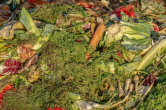 Close-up of vegetable scraps and organic waste in a compost pile