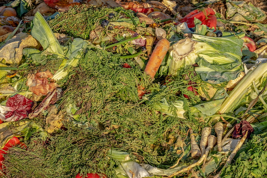 Close-up of vegetable scraps and organic waste in a compost pile