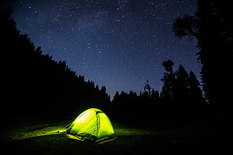 Glowing Tent Under Starry Night Sky in Forest