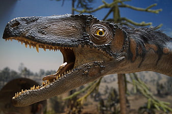 Close-up of realistic dinosaur model head with open mouth