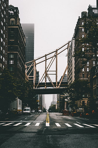Urban Street View with Overpass Bridge and City Buildings