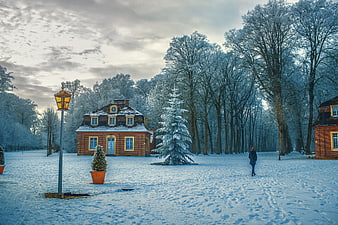 Winter Park Scene with Snowy Trees and Brick Building
