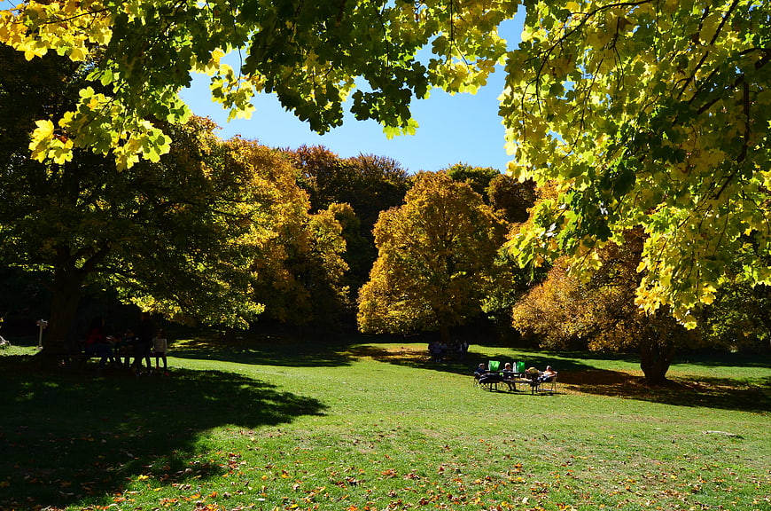 Sunlit autumn park with yellow leaves and people relaxing