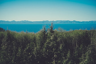 Scenic View of Forest, Ocean, and Distant Mountains