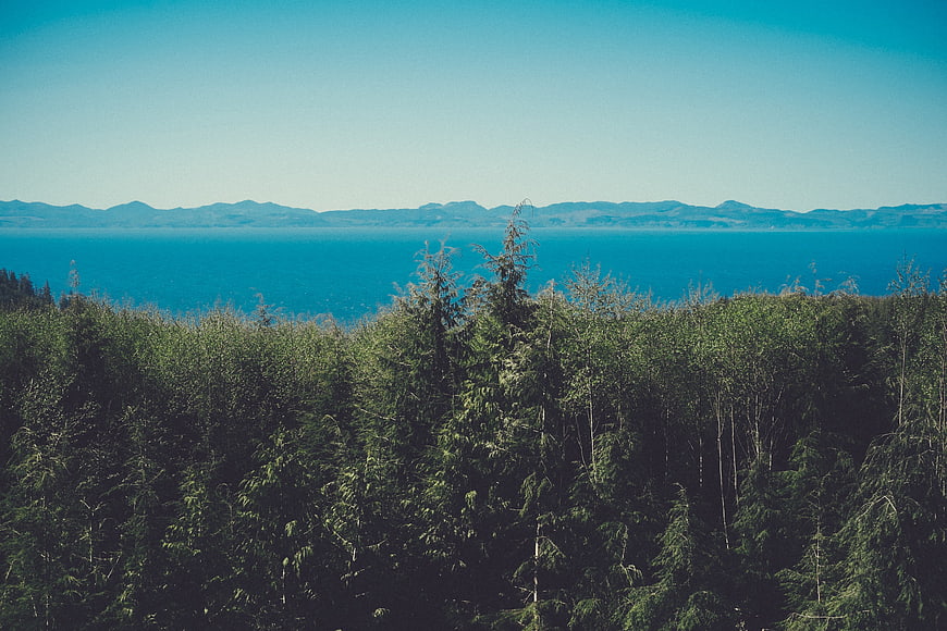 Scenic View of Forest, Ocean, and Distant Mountains