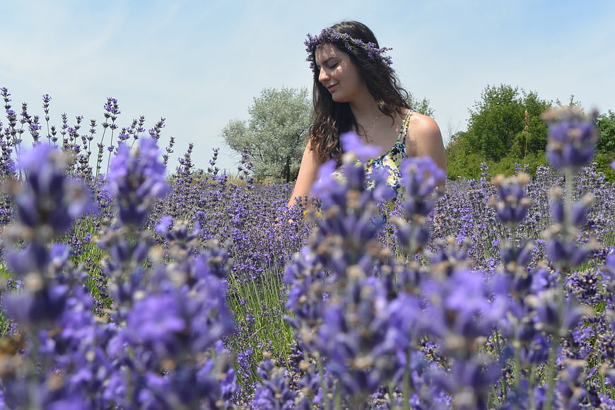 Woman with Lavender Flower Crown in Summer Field