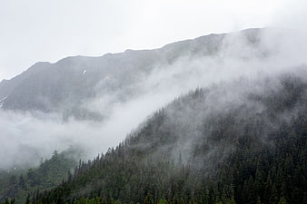 Misty Mountain Landscape with Foggy Forest