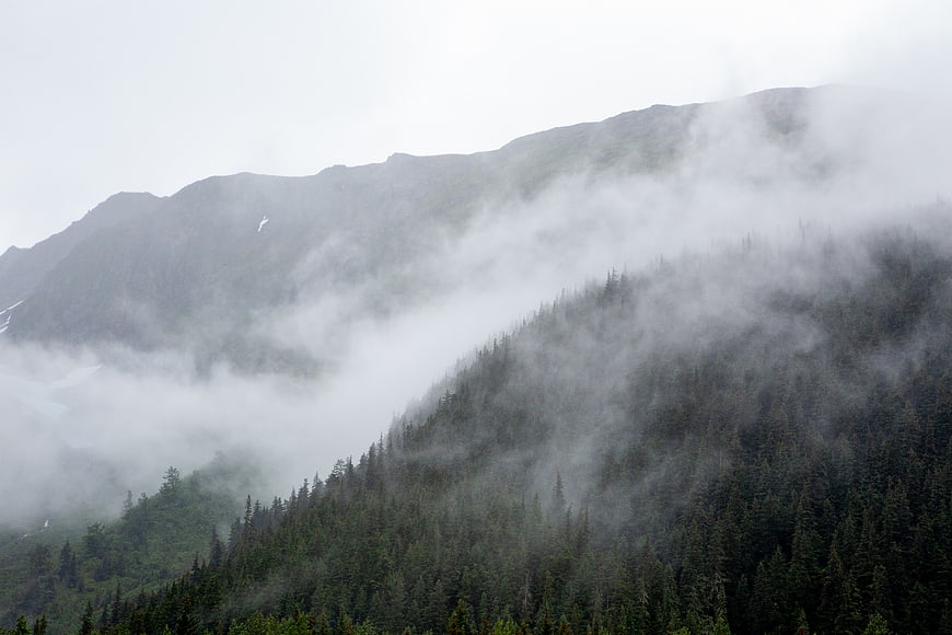 Misty Mountain Landscape with Foggy Forest