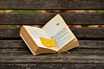 Open book with yellow autumn leaf bookmark on wooden bench