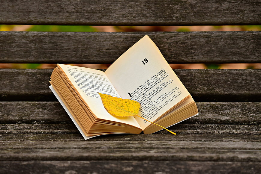 Open book with yellow autumn leaf bookmark on wooden bench
