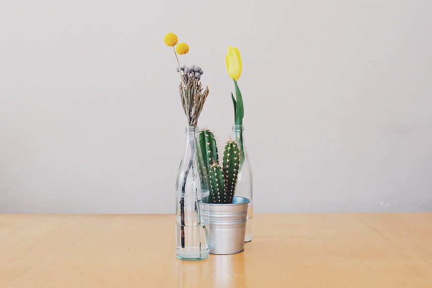 Minimalist Cactus and Tulip Arrangement in Glass Bottles