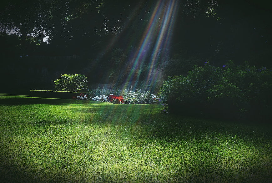 Sunbeams shining through trees onto a green garden lawn