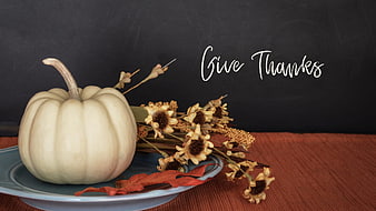 White pumpkin and dried flowers on chalkboard with Give Thanks text