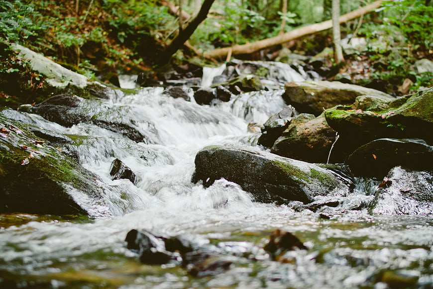 Flowing Forest Stream Over Mossy Rocks