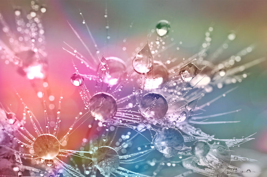 Macro water droplets on dandelion seeds with rainbow light