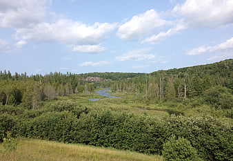 Scenic River Valley with Forest and Rock Formations