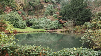 Serene autumn pond surrounded by lush greenery and trees
