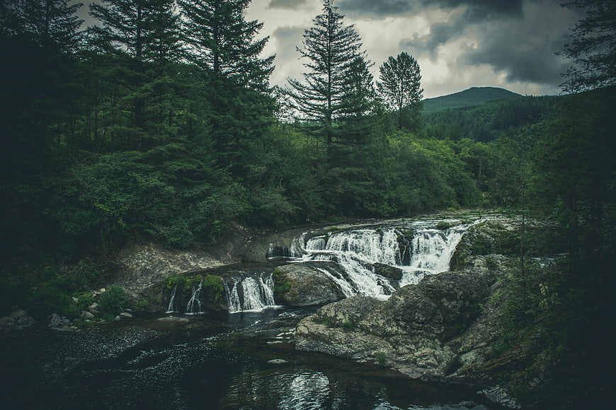 Misty waterfall cascading through dark pine forest