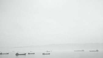 Silhouettes of cargo ships in foggy harbor