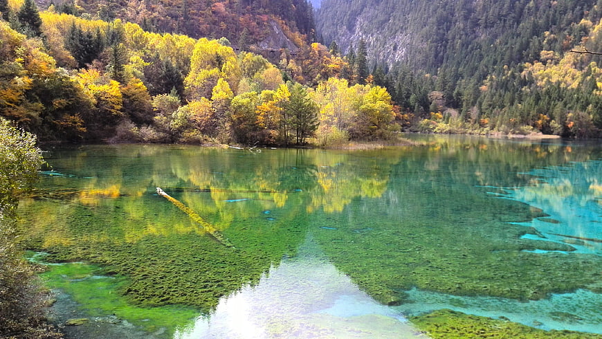 Autumn Forest Reflections in Crystal Clear Alpine Lake