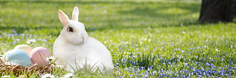 White Easter Bunny with Pastel Eggs in Spring Meadow