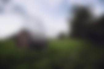 Blurred Green Landscape Background with Trees
