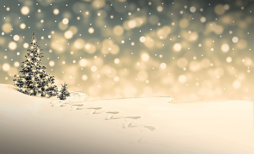 Snowy Winter Landscape With Pine Tree And Falling Snowflakes