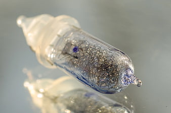 Close-up of vintage filament light bulb with blue glass
