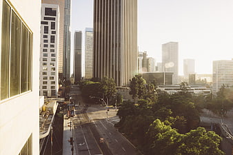 Sunlit Downtown Cityscape with Skyscrapers and Trees