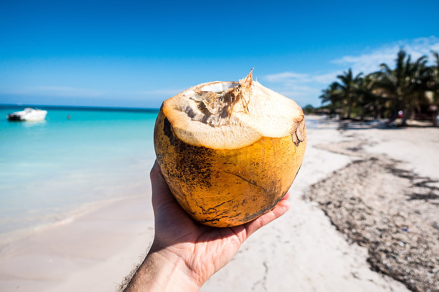 Hand holding fresh young coconut on tropical beach