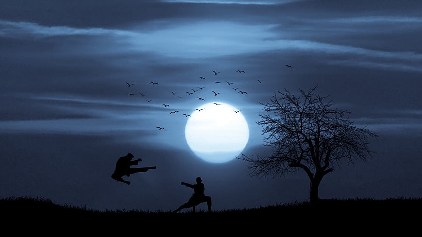 Silhouetted martial artists performing kung fu under a full moon at night