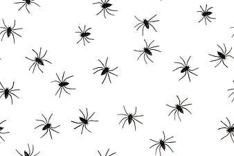 Black Spider Silhouettes Scattered On White Background Pattern