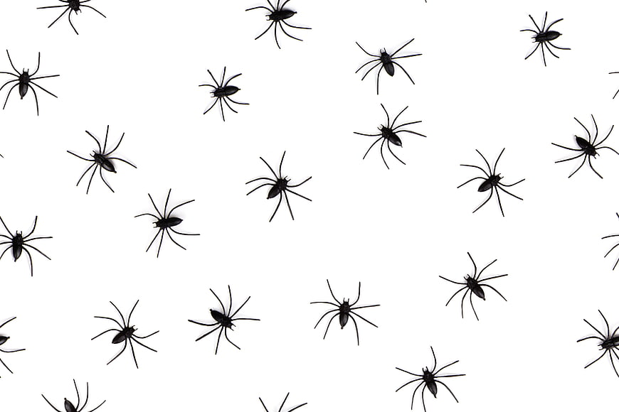 Black Spider Silhouettes Scattered On White Background Pattern