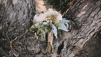 Rustic Wedding Bouquet Resting on Tree Bark