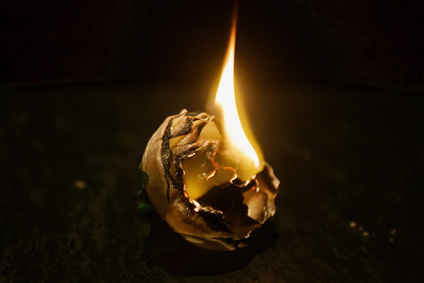 Burning dried flower bud with flame on dark background