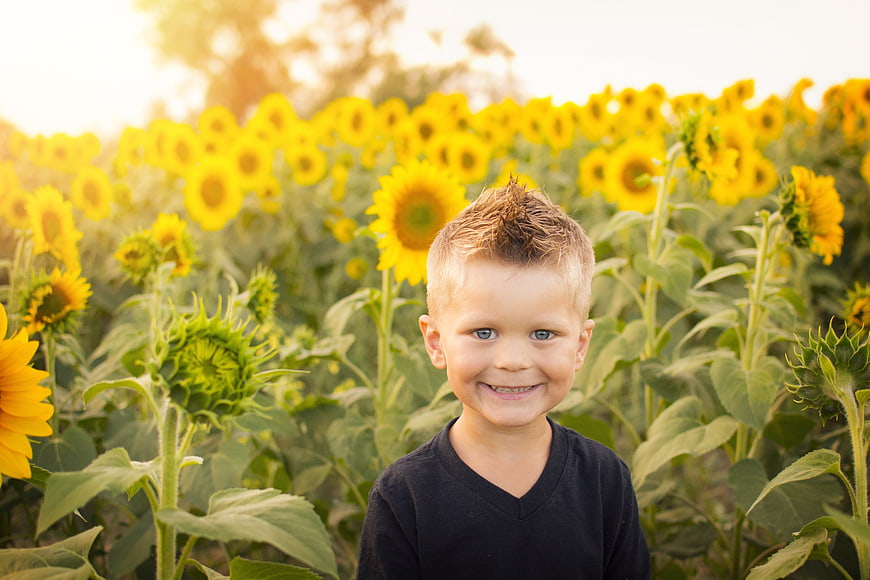 Happy Little Boy Smiling in Sunflower Field at Sunset