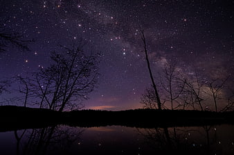 Milky Way Galaxy Night Sky Over Lake With Silhouetted Trees