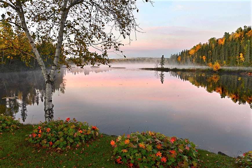 Serene Autumn Lake Landscape with Birch Tree and Misty Reflections