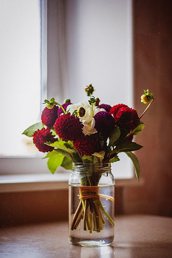 Rustic Dahlia Bouquet in Mason Jar by Window
