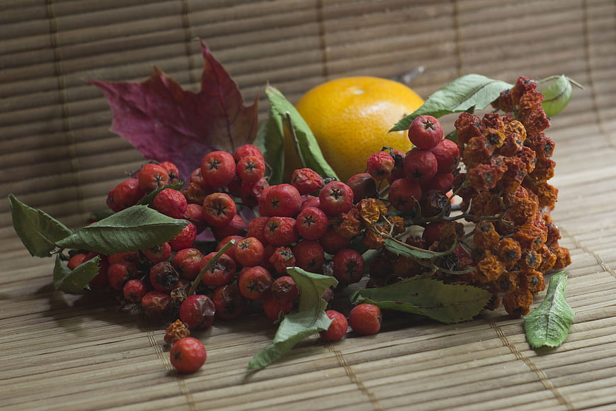 Autumn still life with rowan berries, orange, and maple leaf