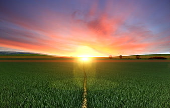 Sunset over Green Field with Central Footpath