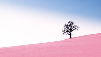 Surreal Pink Hill Landscape With Silhouette Tree And Swing