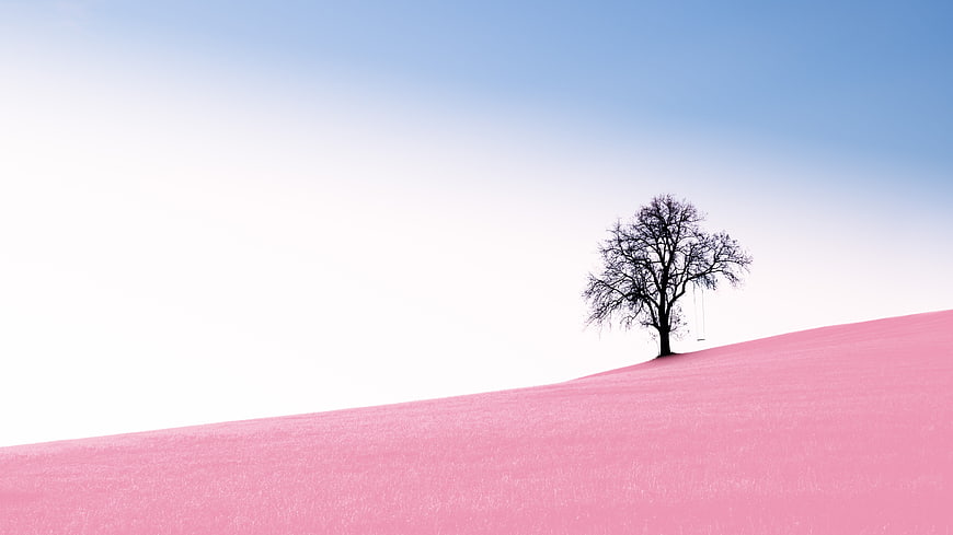 Surreal Pink Hill Landscape With Silhouette Tree And Swing