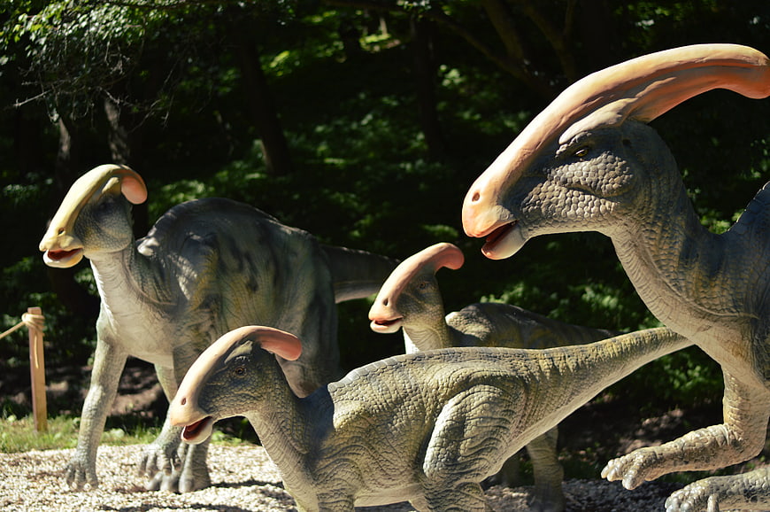Life-size Parasaurolophus Dinosaur Models In Outdoor Park Setting